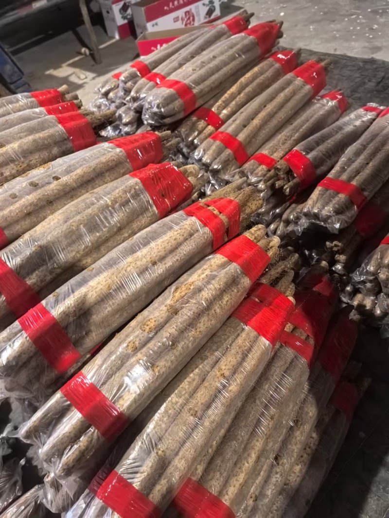 白玉山药大量供应产地直发品质保障，欢迎选购