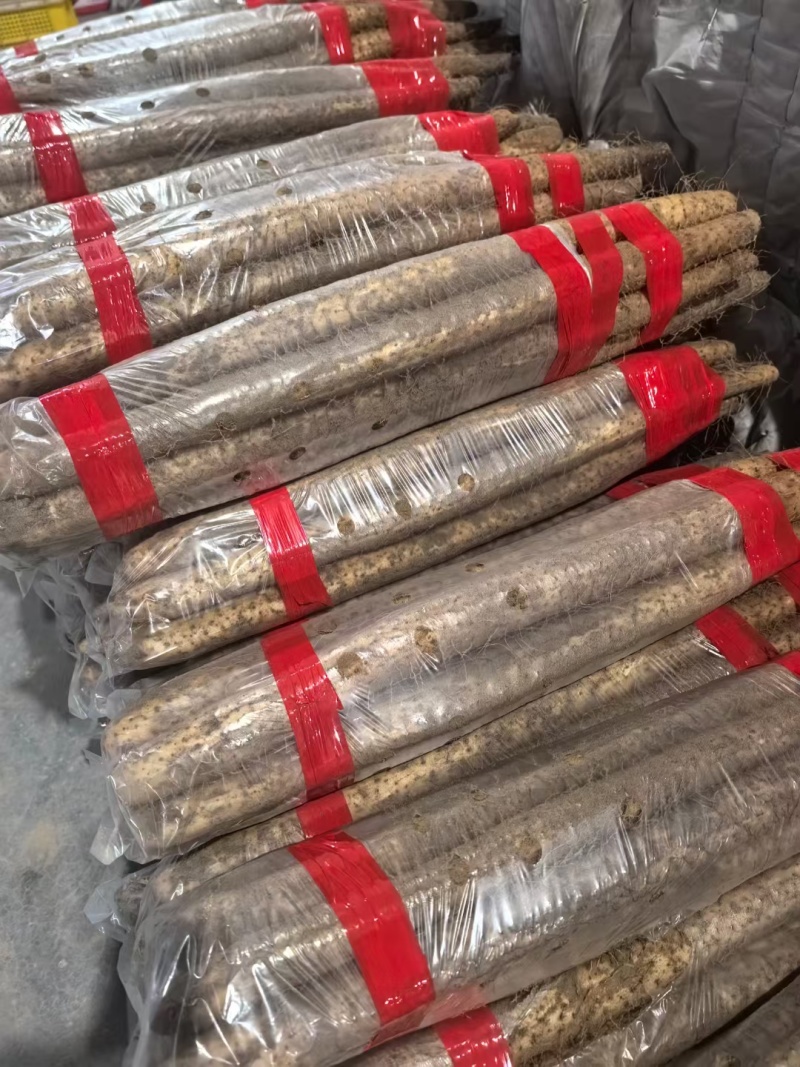 白玉山药大量供应产地直发品质保障，欢迎选购
