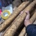 白玉山药大量供应产地直发品质保障，欢迎选购