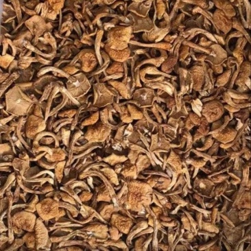 干滑子菇，东北特产，可视频看货，价格公道，诚信经营