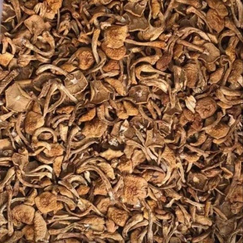 干滑子菇，东北特产，可视频看货，价格公道，诚信经营