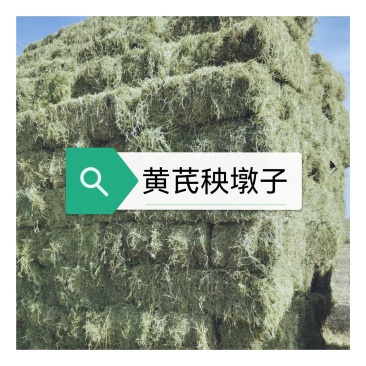 甘肃黄芪秧，黄芪大量上市了