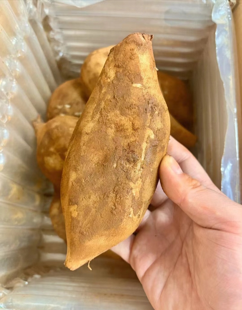云南天山雪莲果走车物流一件代发，快递，全部支持