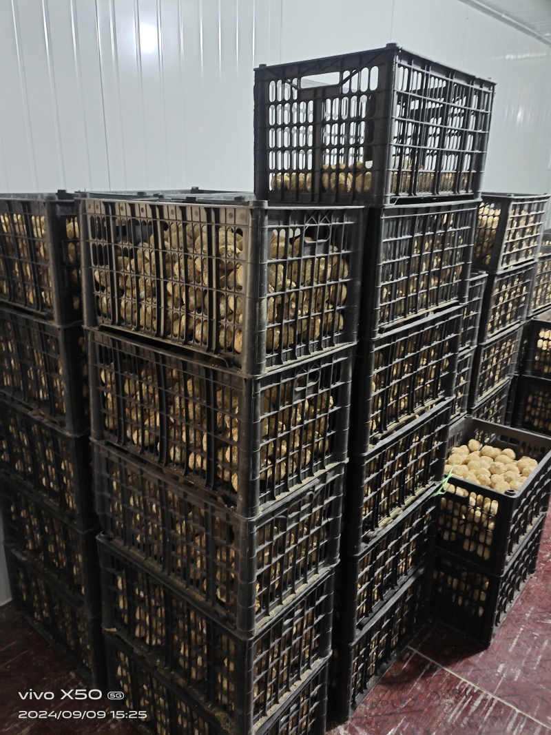 精品变蛋，无铅松花蛋货源充足量大从优质量保证欢迎咨询