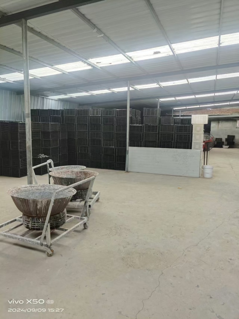 精品变蛋厂家供应量大从优质量保证诚信经营欢迎咨询