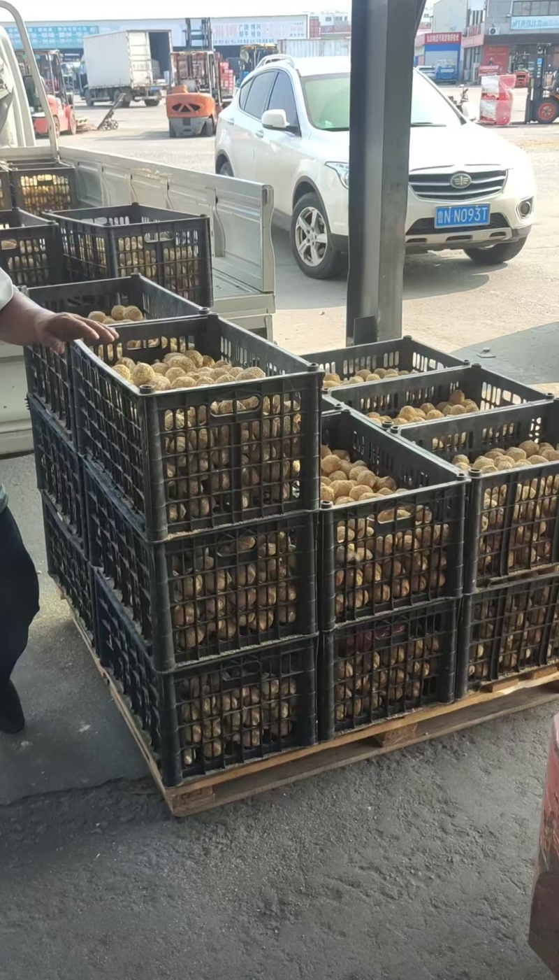 精品变蛋厂家供应量大从优质量保证诚信经营欢迎咨询