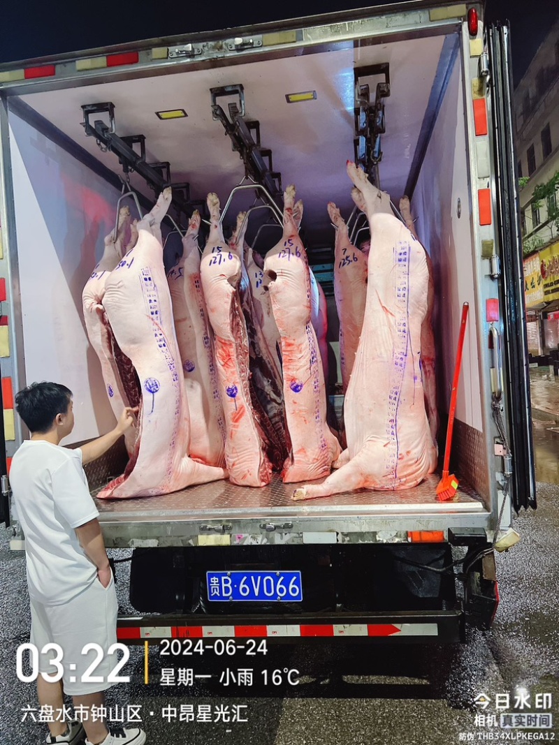 猪白条自有工厂保证质量诚信经营欢迎大家购买