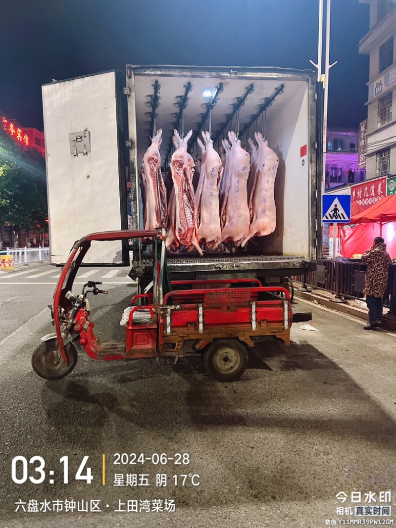 猪白条自有工厂保证质量诚信经营欢迎大家购买