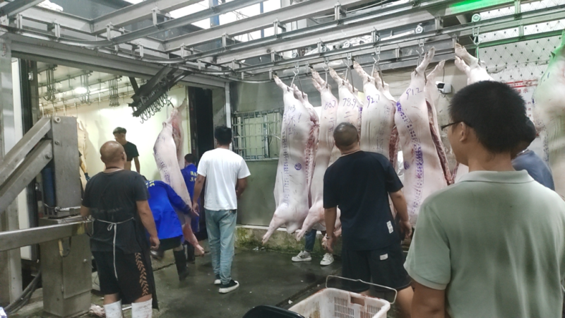 长期向市场供应猪白条，欢迎各位老板咨询我们