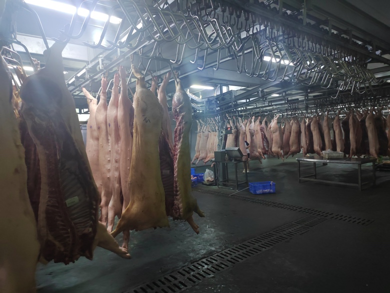 豫东大白猪屠宰分割流程展示