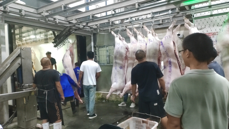 全年长期供应猪肉猪白条，80-110公斤，欢迎咨询