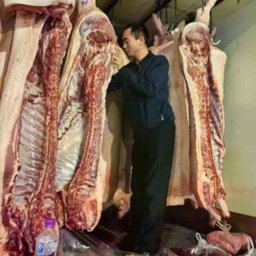 全年长期供应猪肉猪白条，80-110公斤，欢迎咨询