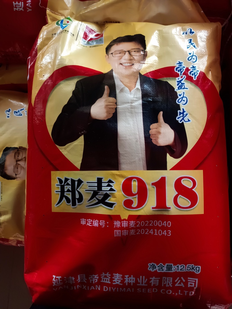 郑麦918小麦种子:抗病耐春倒寒原厂原种假一赔十