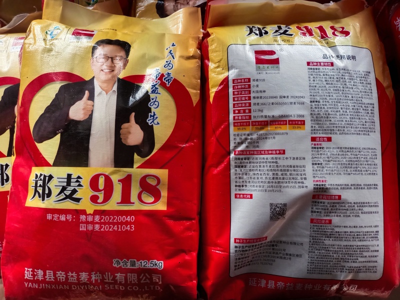 郑麦918小麦种子:抗病耐春倒寒原厂原种假一赔十