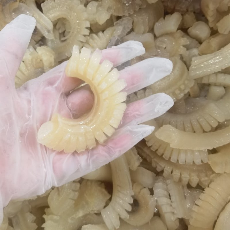 牛鞭花高颜值实惠经典食材，工厂批发一手货源