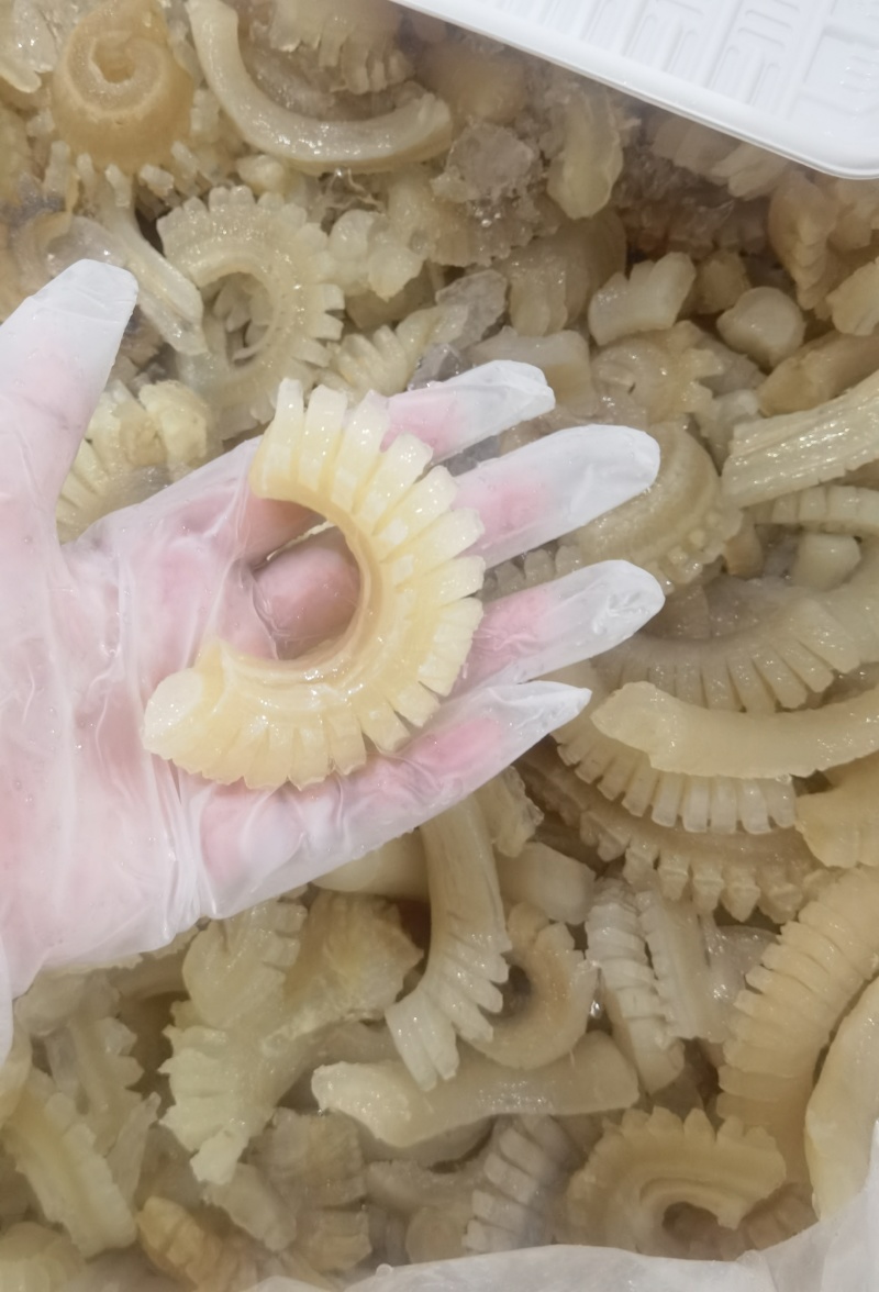 牛鞭花高颜值实惠经典食材，工厂批发一手货源