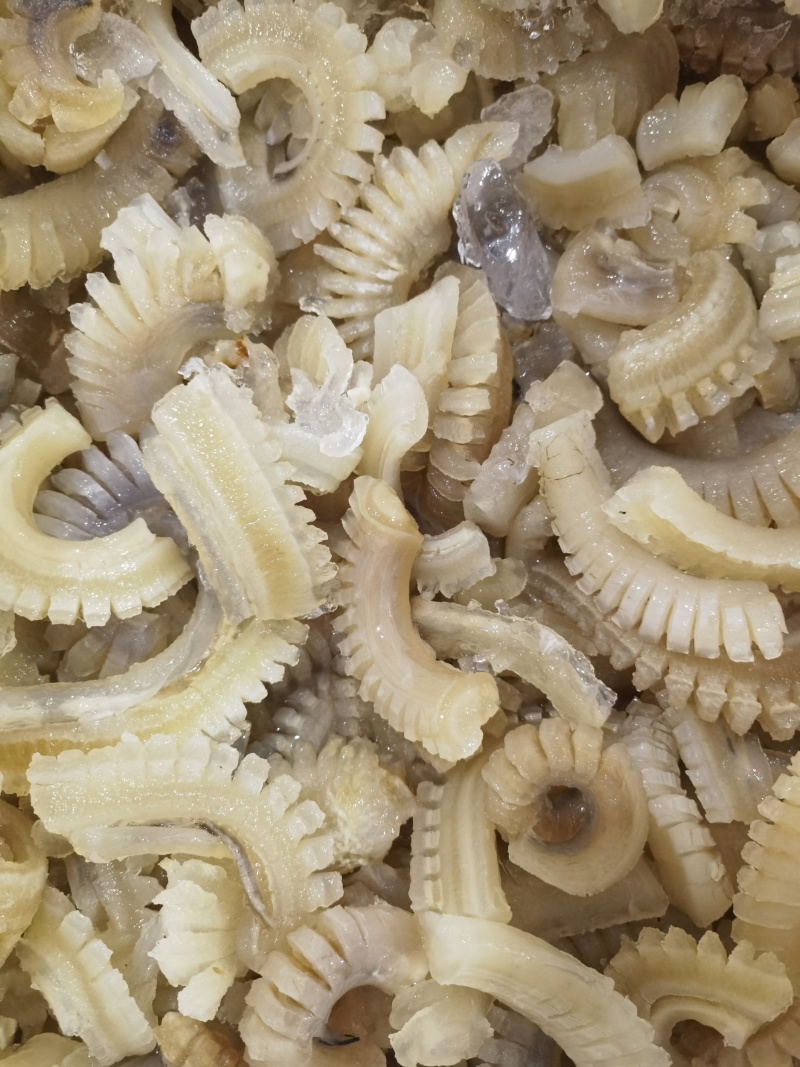 牛鞭花高颜值实惠经典食材，工厂批发一手货源