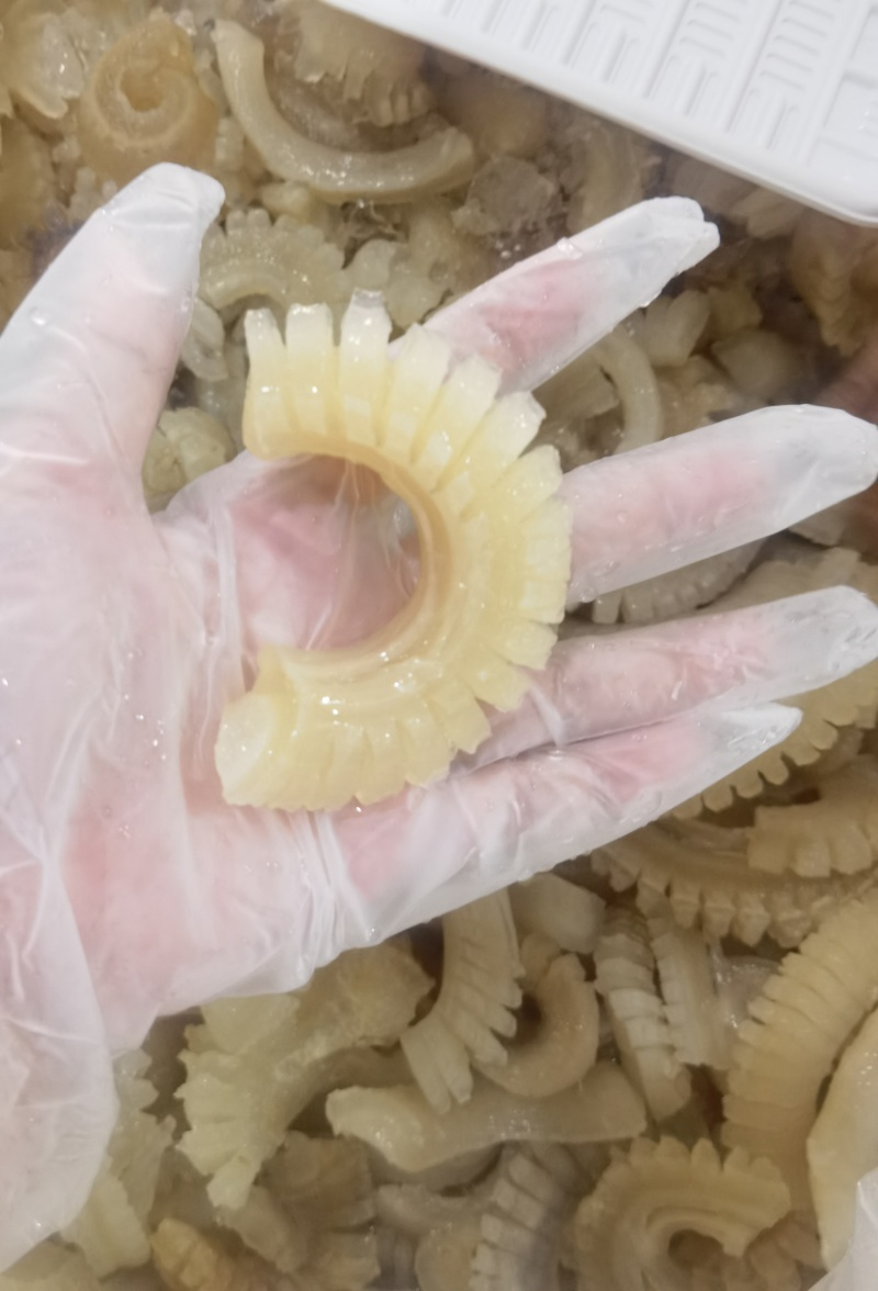 牛鞭花高颜值实惠经典食材，工厂批发一手货源