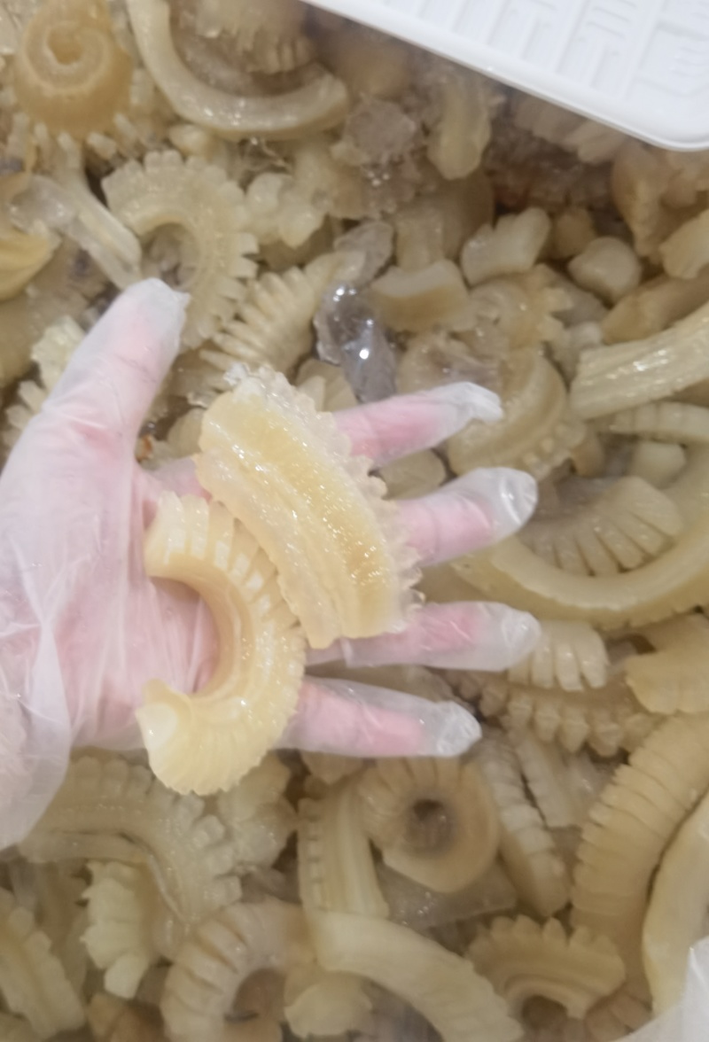 牛鞭花高颜值实惠经典食材，工厂批发一手货源