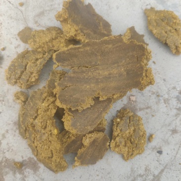 厂家发货棉仁饼含蛋白，有机质，