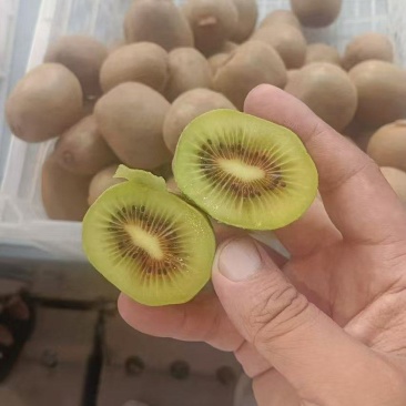 红心猕猴桃多年老店，供货稳定，量大从优