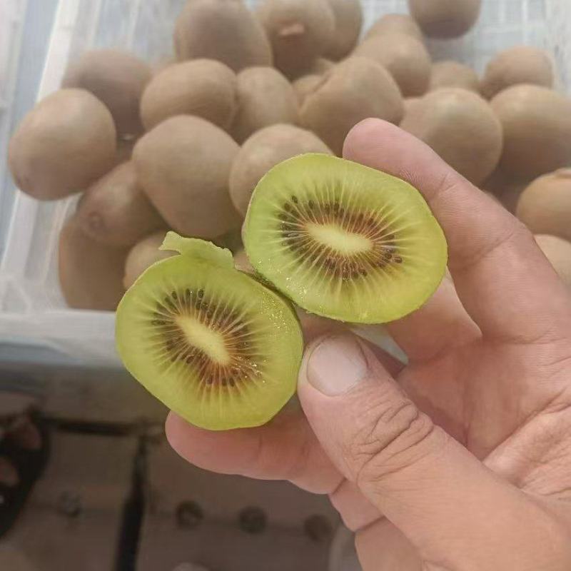 红心猕猴桃多年老店，供货稳定，量大从优