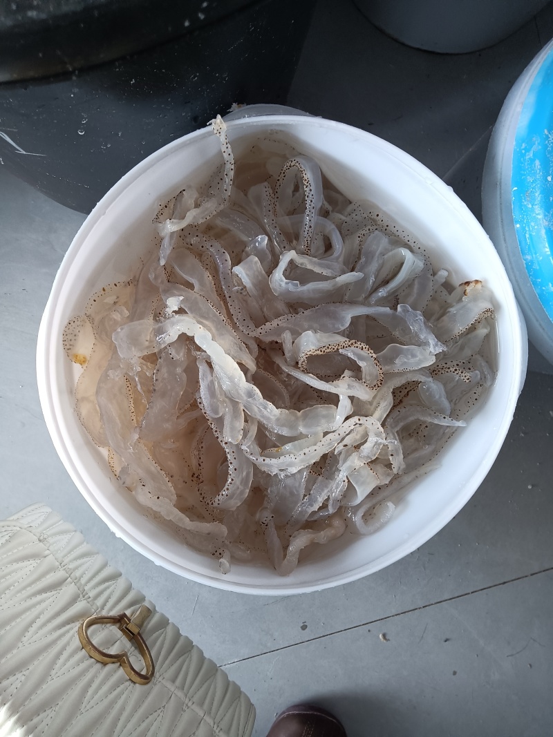 海蜇皮