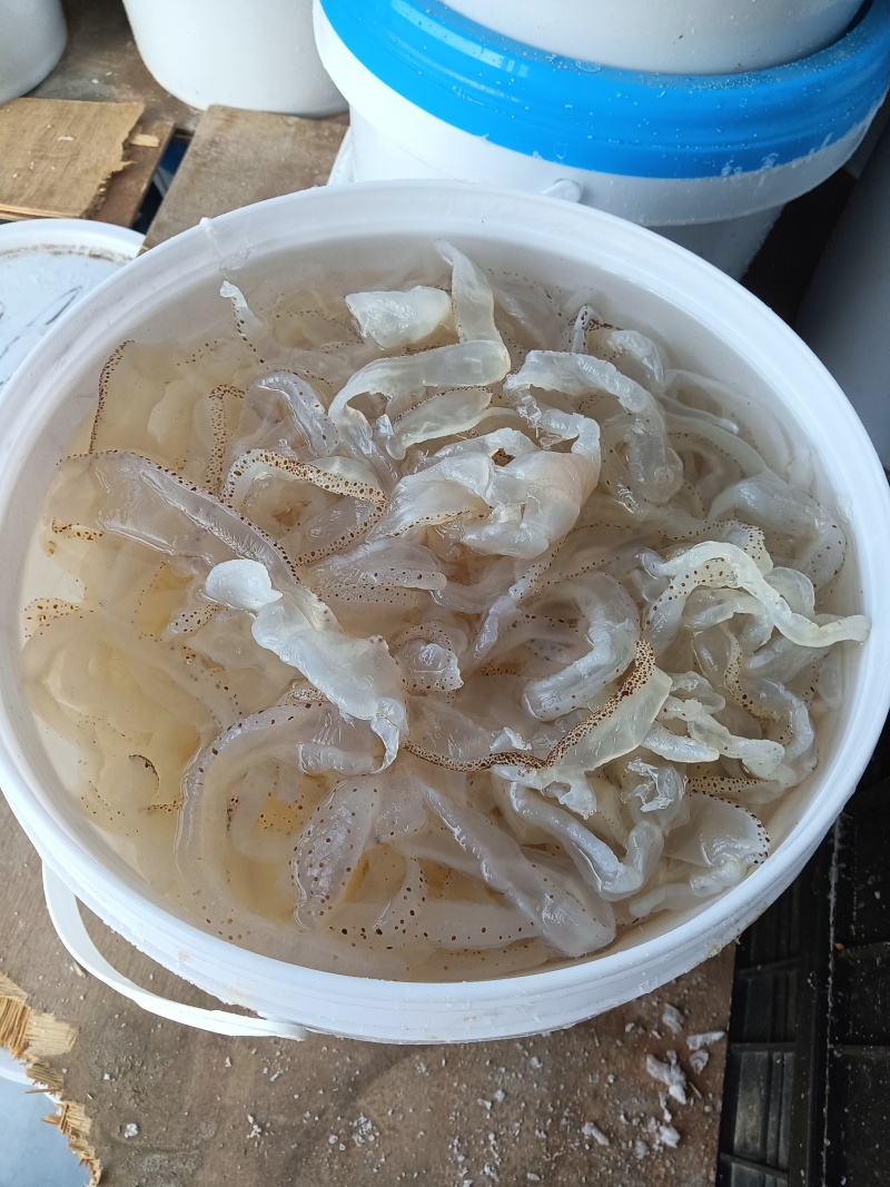 海蜇皮