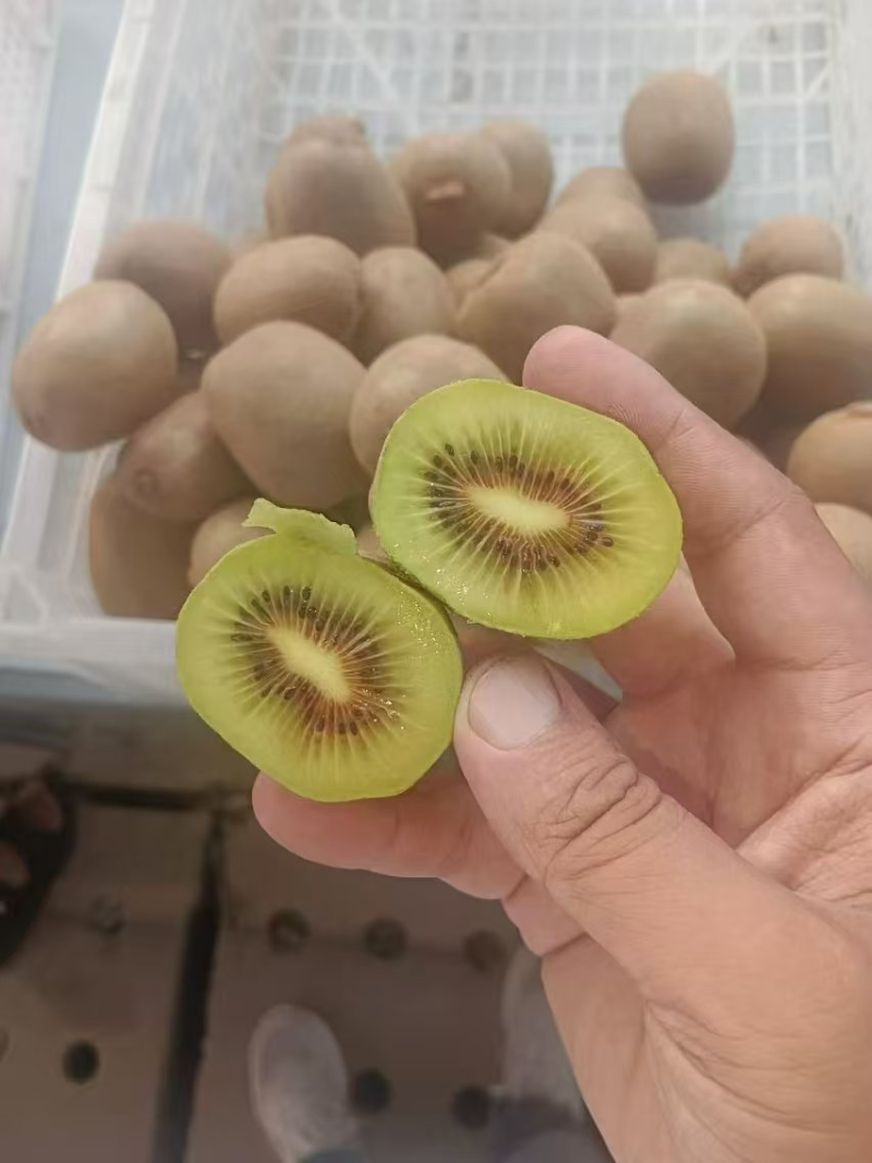【猕猴桃】规格齐全支持一件代发走批发价更优