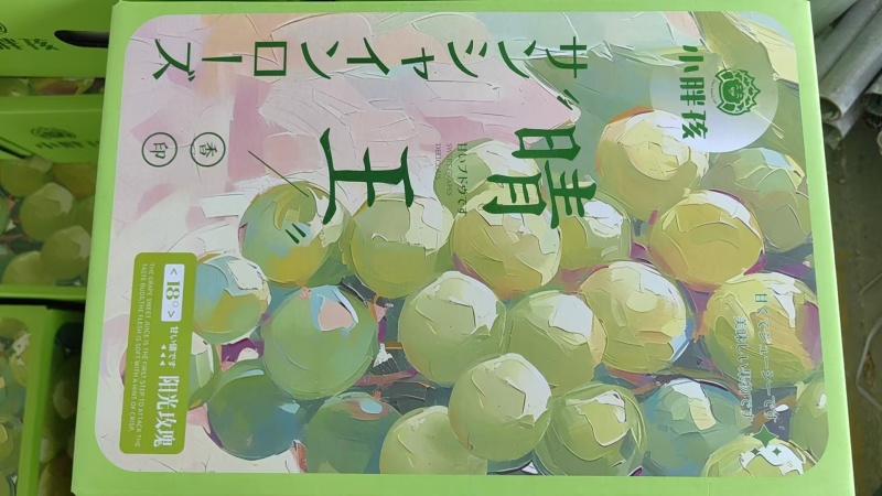 陕西阳光玫瑰基地直供一手货源品质保证量大从优