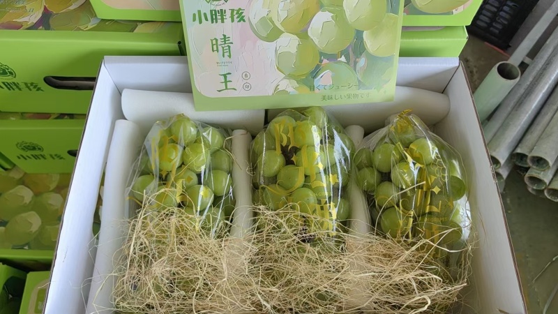 陕西阳光玫瑰基地直供一手货源品质保证量大从优