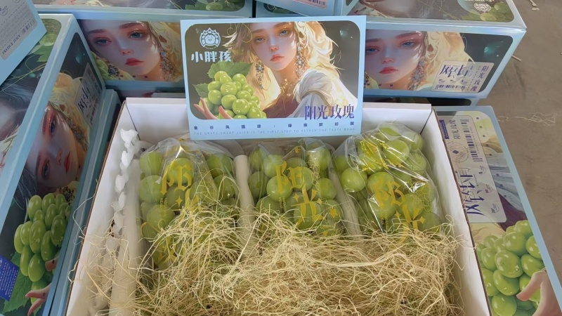 陕西阳光玫瑰基地直供一手货源品质保证量大从优