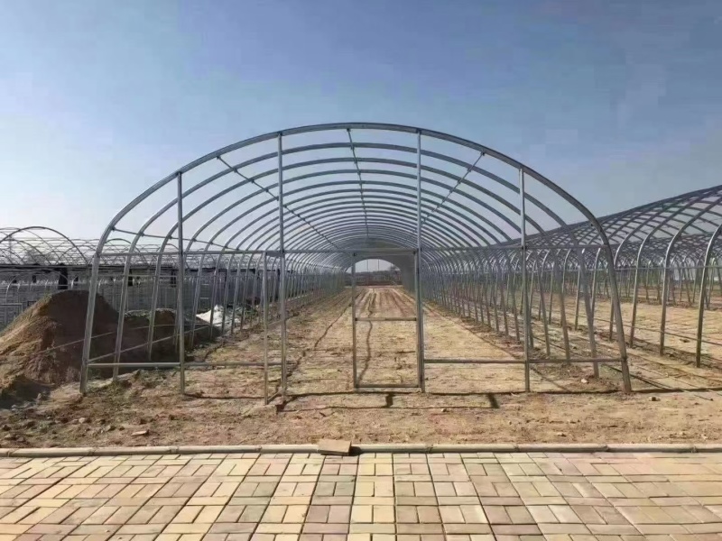 温室大棚蔬菜大棚养殖大棚大棚棉被棚膜配件应有尽有全国接单