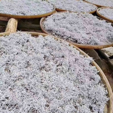 莓茶