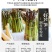 山东芦笋小粉皮
