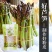 山东芦笋小粉皮