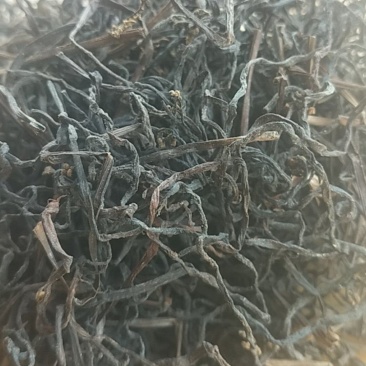 贵州省黔东南干蕨菜