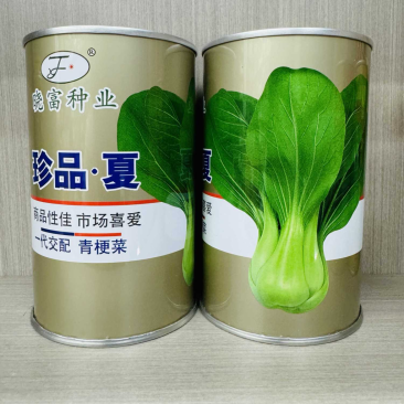 珍品夏引进国外耐热耐湿抗逆性极强速生长株型美观叶绿杂交种