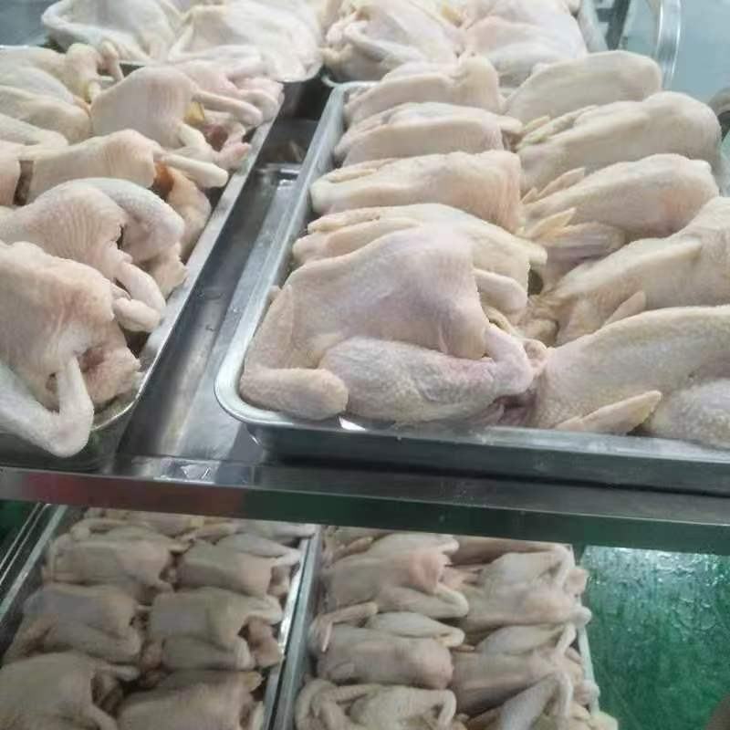 广东惠州客家盐焗鸡品质保障的真空包装欢迎来电咨询