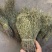 独脚金大货批发，常年供应大货，欢迎全国各地的老板来电咨询