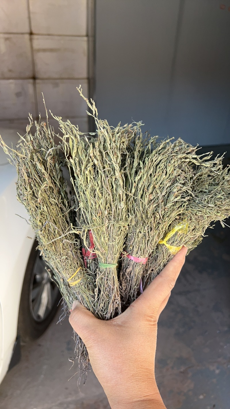 独脚金大货批发，常年供应大货，欢迎全国各地的老板来电咨询