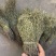 独脚金大货批发，常年供应大货，欢迎全国各地的老板来电咨询