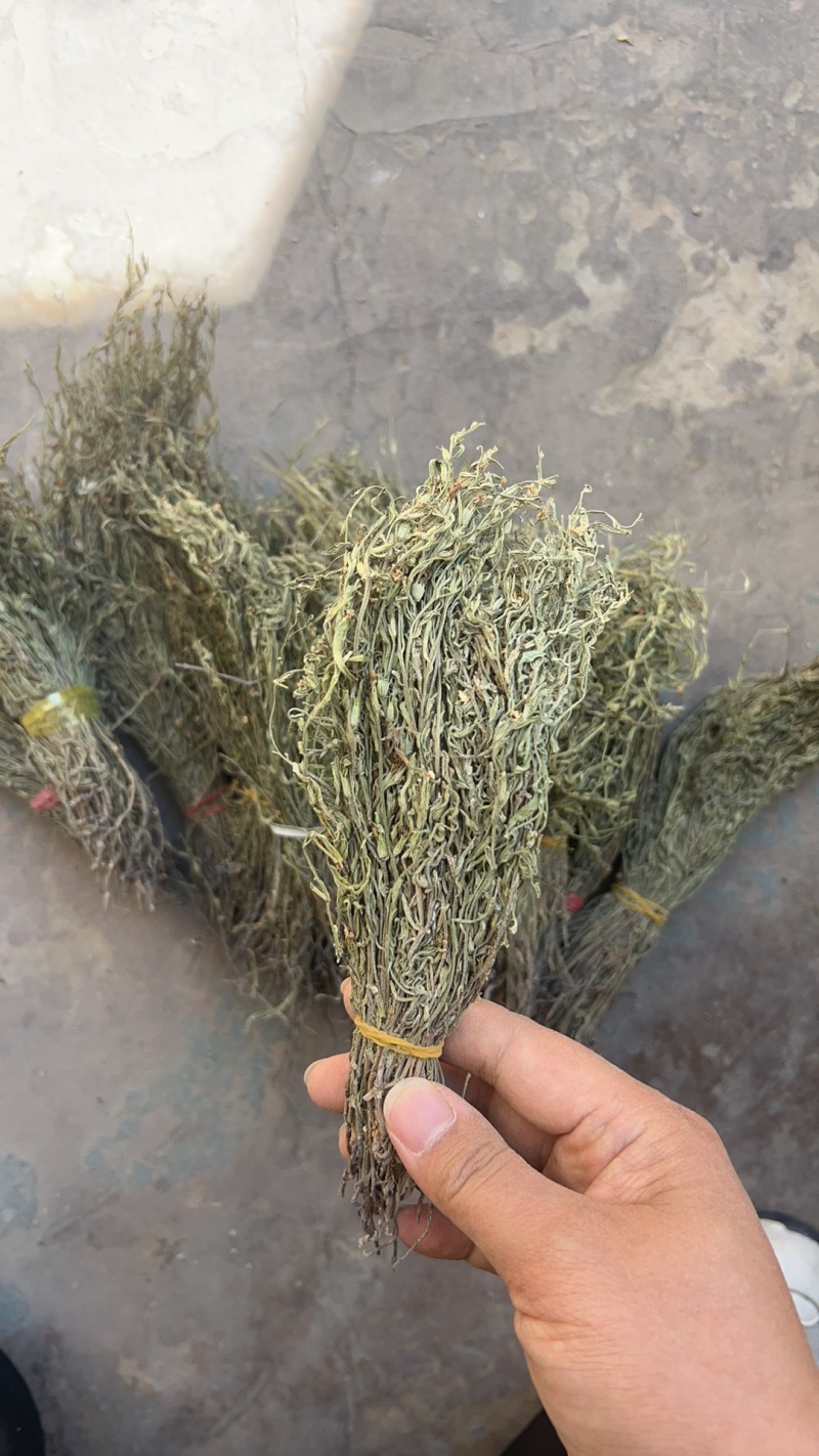 独脚金大货批发，常年供应大货，欢迎全国各地的老板来电咨询