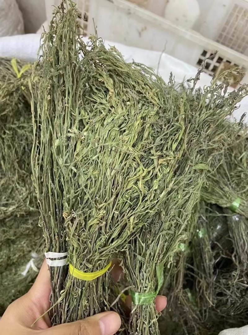 独脚金大货批发，常年供应大货，欢迎全国各地的老板来电咨询