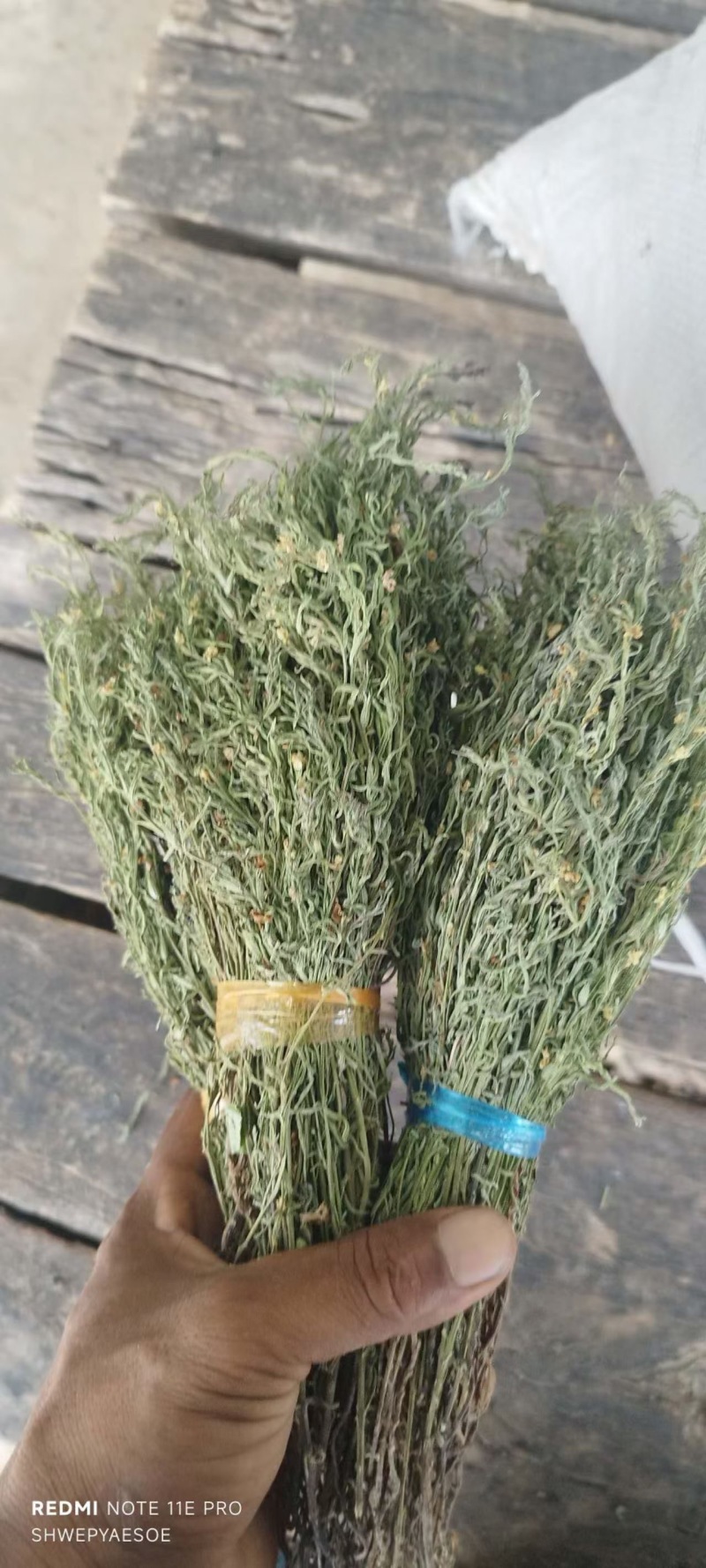 独脚金大货批发，常年供应大货，欢迎全国各地的老板来电咨询