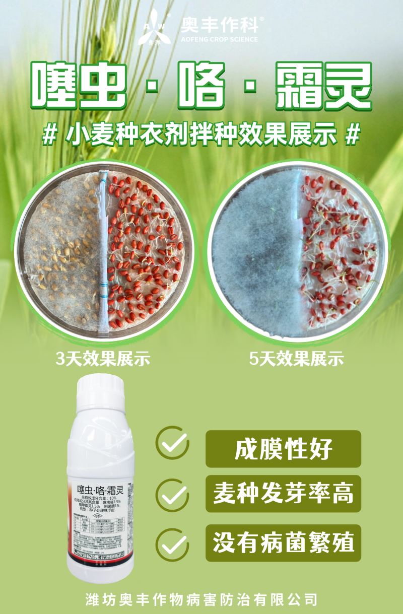 噻虫咯霜灵拌种剂玉米水稻烂秧病茎基腐蓟马蚜虫杀虫杀菌