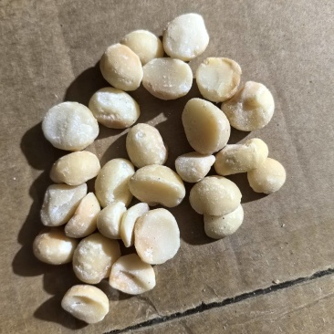 夏威夷果仁