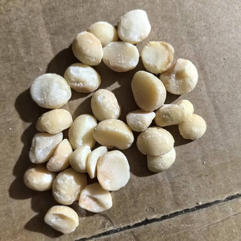 夏威夷果仁