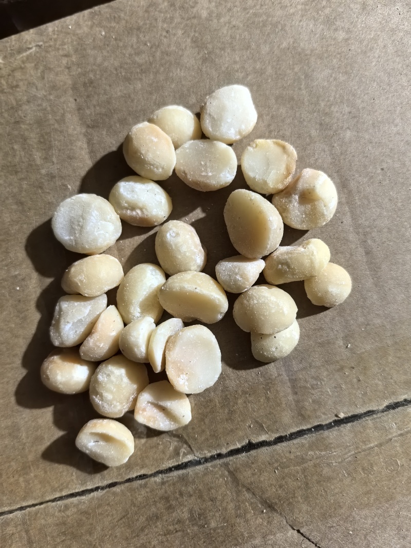 夏威夷果仁