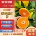 蜜橘柑橘湖北早熟蜜橘产地一手货源大量供应对接零卖电商市场